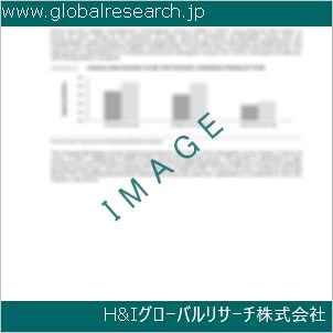 グローバルリサーチ調査資料のイメージ